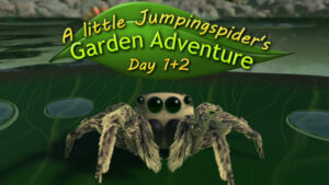 A little Jumpingspider’s Garden Adventure (Day 1+2)